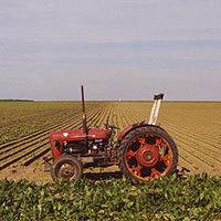 Tractor.jpg