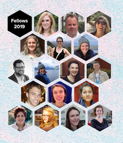 Hex collage of Fellows 2019