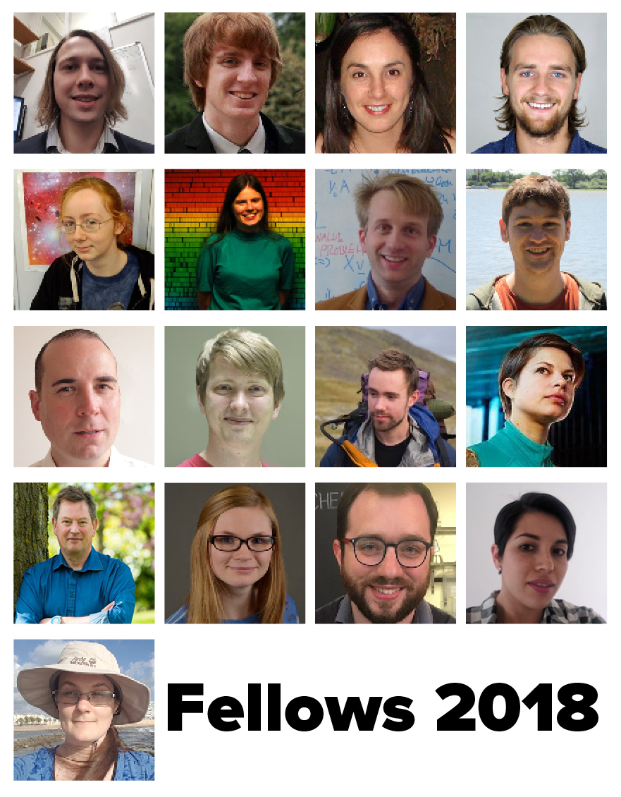 Fellows 2018