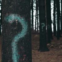 question mark on trees