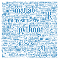 Software wordle