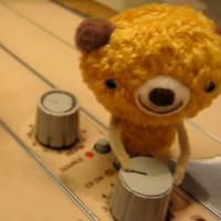 Teddy bear recording