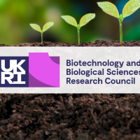 BBSRC logo against a background of soil and growing plants
