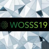 WOSSS19 logo