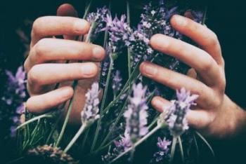 person holding lavender with two hands