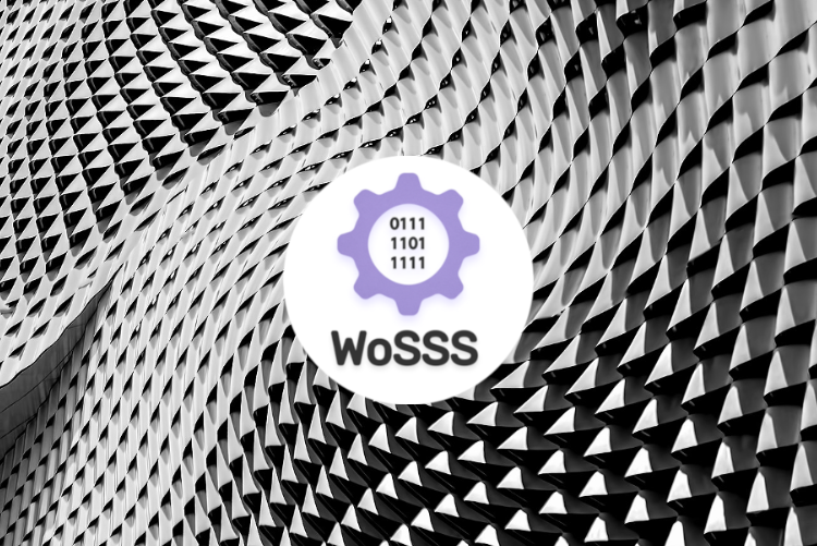 WoSSS logo on a 3D textured background